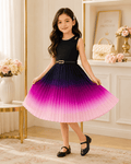 Gradient A-Line Dress Pleated Skirt